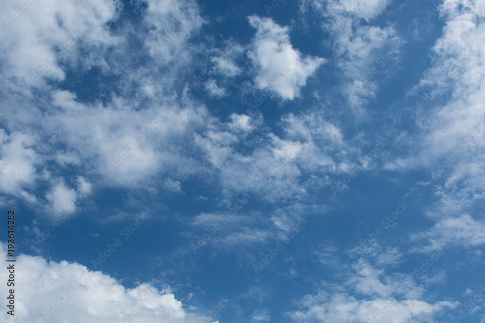 Fototapeta premium Blue sky with a cloud close-up. Background.