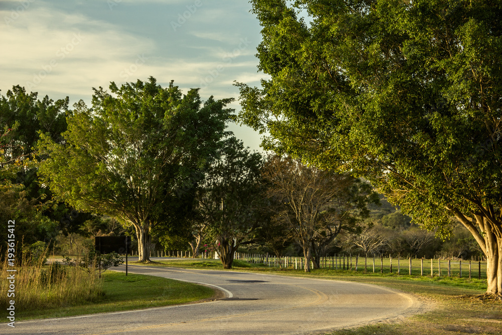 Obraz premium Paisagem