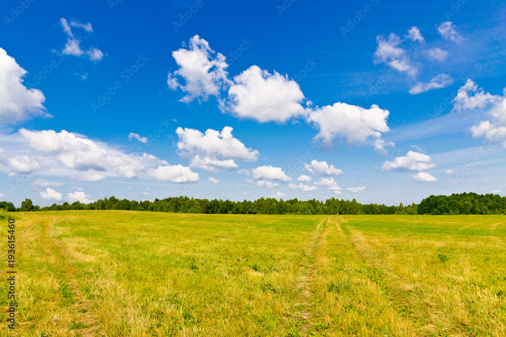 Sky, clouds and field. Belarus, Minsk region. Colorful landscape