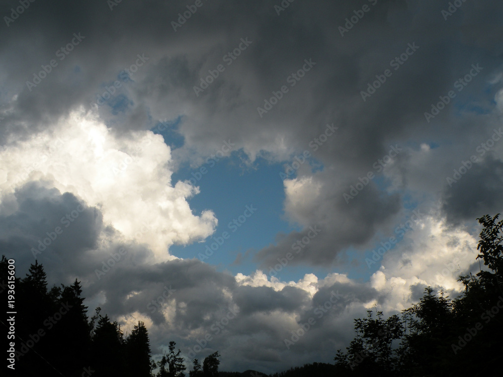 Fototapeta premium Blue sky with storm clouds and the shadows, background.Silhouette spruce forest