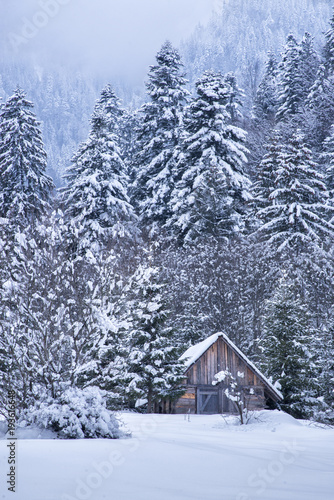 House in the forest during winter