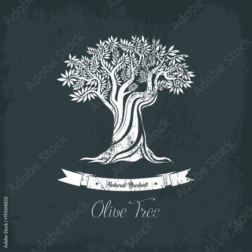 Greece olive tree logo with branches