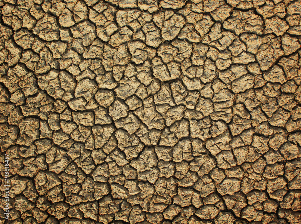 The ground cracked during the summer. The ground cracked during the summer.