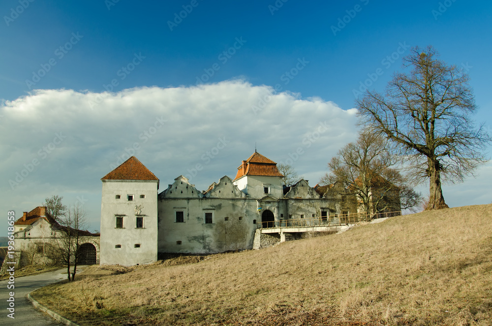 View to castle on a sunny day, Ukraine View to castle on a sunny day, Ukraine