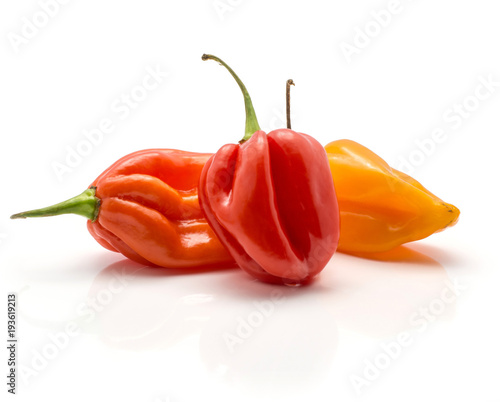 Three Habanero chili yellow orange red hot peppers isolated on white background. photo