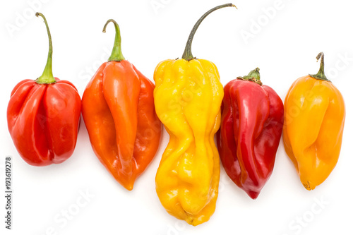 Colourful Habanero chili set top view isolated on white background five yellow orange red hot peppers.