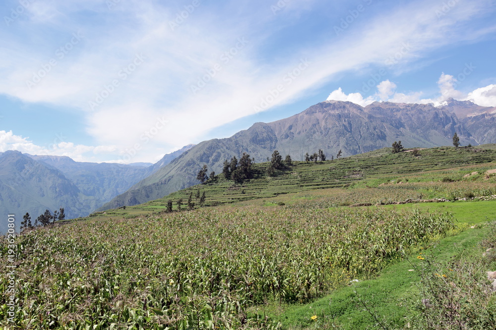Obraz premium Peruvian Scenery