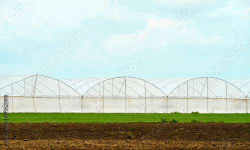 Large greenhouse for cultivation