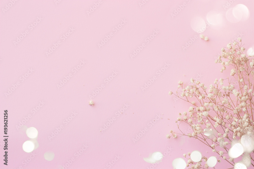 Pink background with small white flowers and bokeh, with copy space