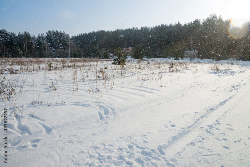 A landscape with traces on the snow in the field