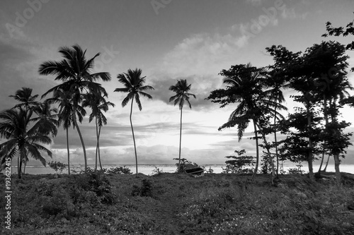 Dominican Republic Samana Peninsula 