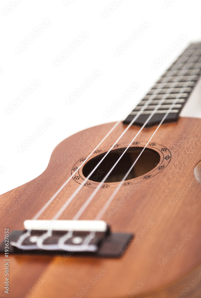 Fototapeta premium The brown ukulele guitar