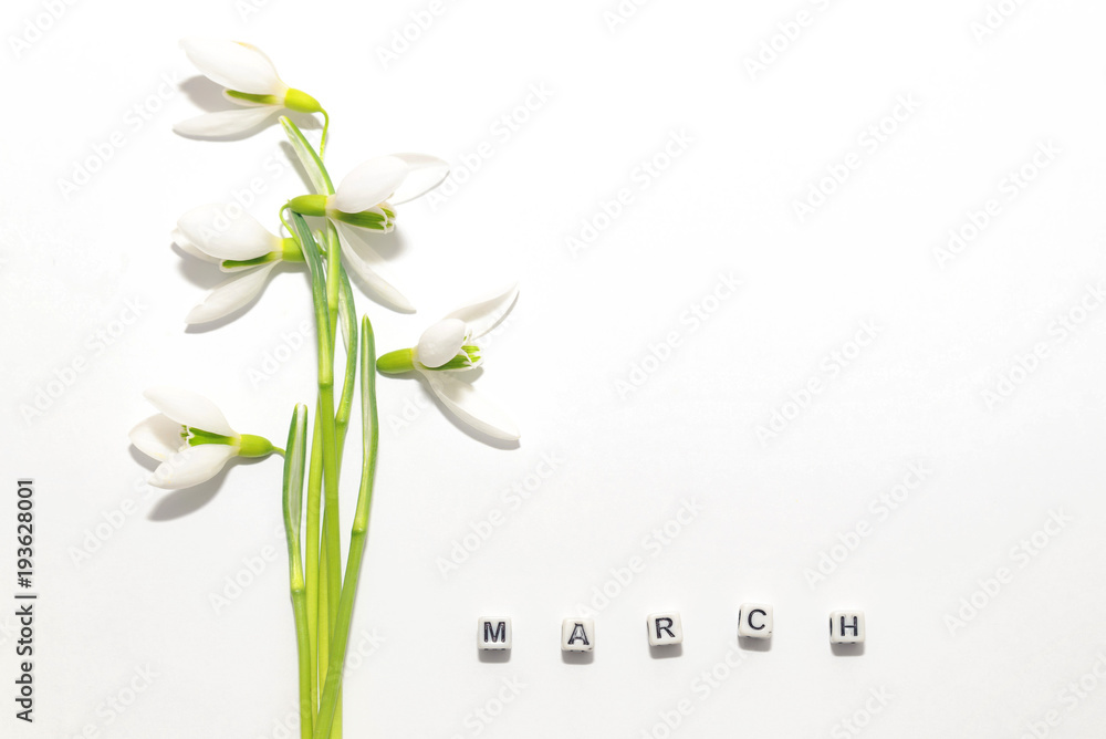 Naklejka premium Bouquet of snowdrops on a white background