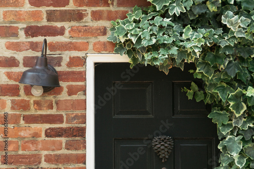 Brick background with light, dark blue front door and green vines and leaves along door