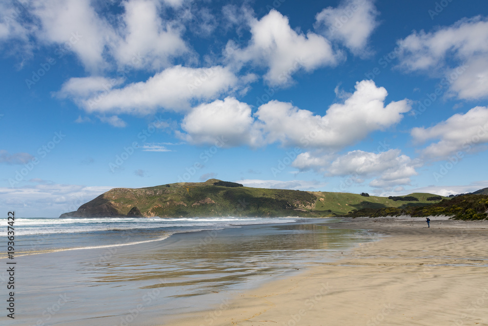 A man walks alone on remote Allans Beach in New Zealand's Otago Peninsula A man walks alone on remote Allans Beach in New Zealand's Otago Peninsula