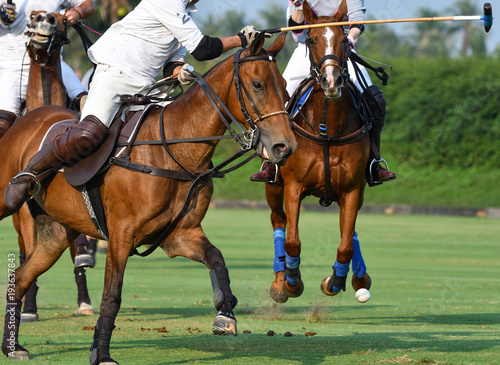 Horse Polo players are competing in the field.