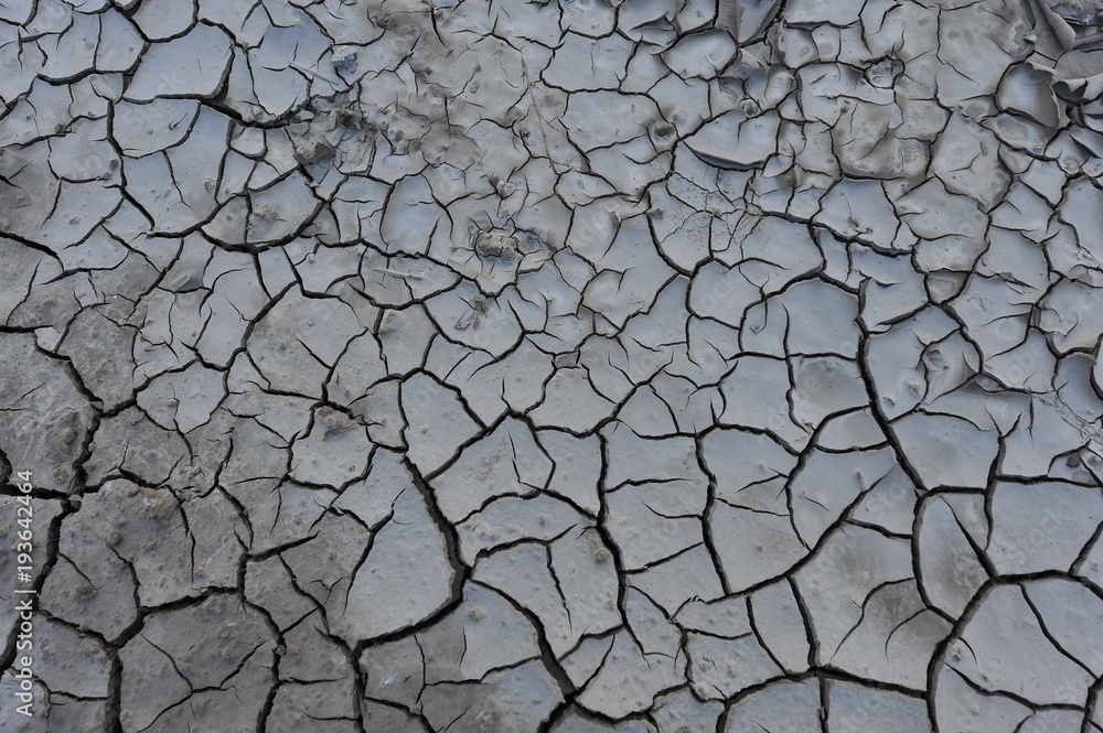 Fototapeta premium Dry soil cracking