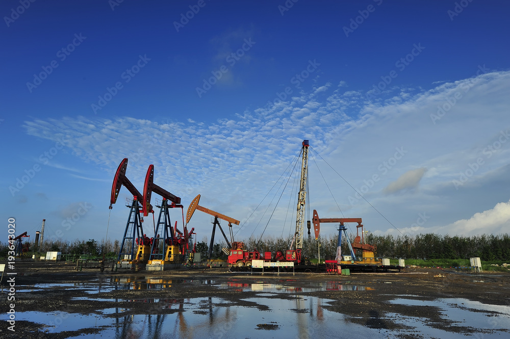 Obraz premium The oil pump