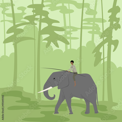 man on an elephant in the jungle