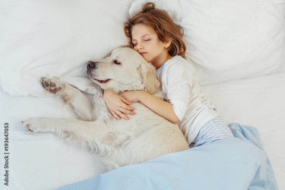Beautiful little girl with golden retriever dog in a bed Stock Photo ...
