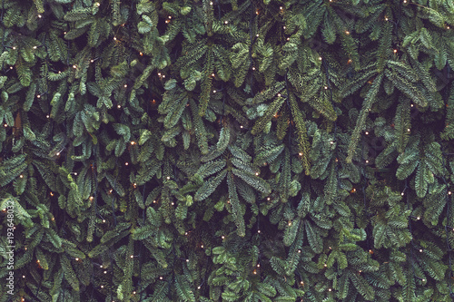 Texture of wall decorated with garlands and green pine fir branches, Christmas decorations background