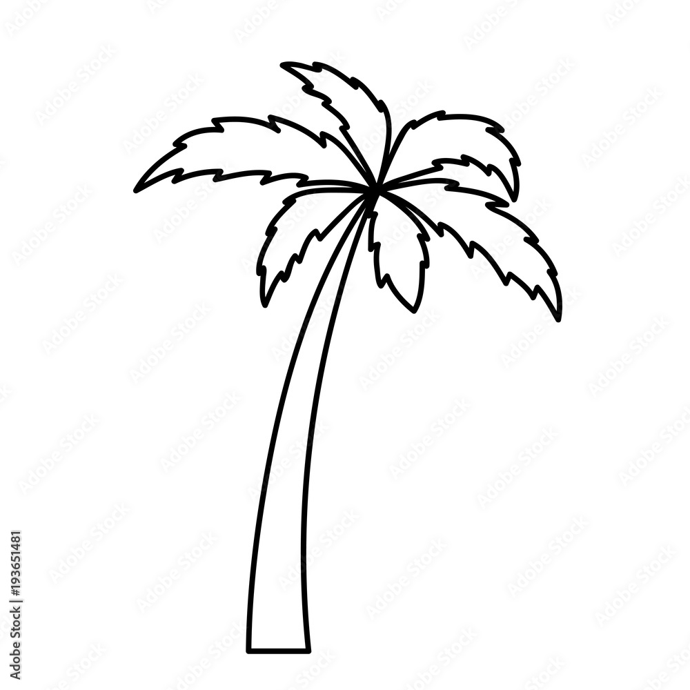 Ausmalbild Palme Stock Vector | Adobe Stock Ausmalbild Palme Stock Vector | Adobe Stock