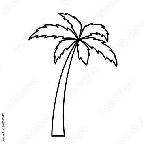 Ausmalbild Palme