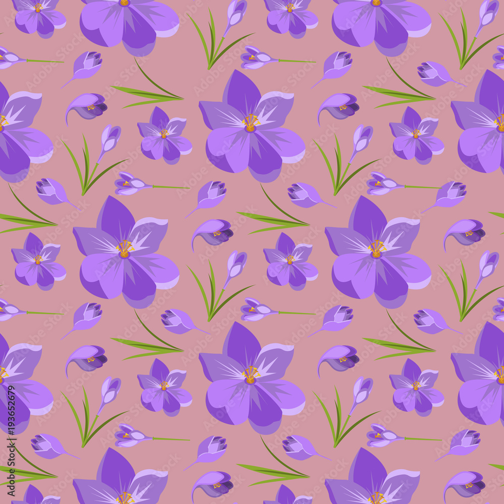 Spring beautiful violet crocuses pattern background on white. Spring beautiful violet crocuses pattern background on white.