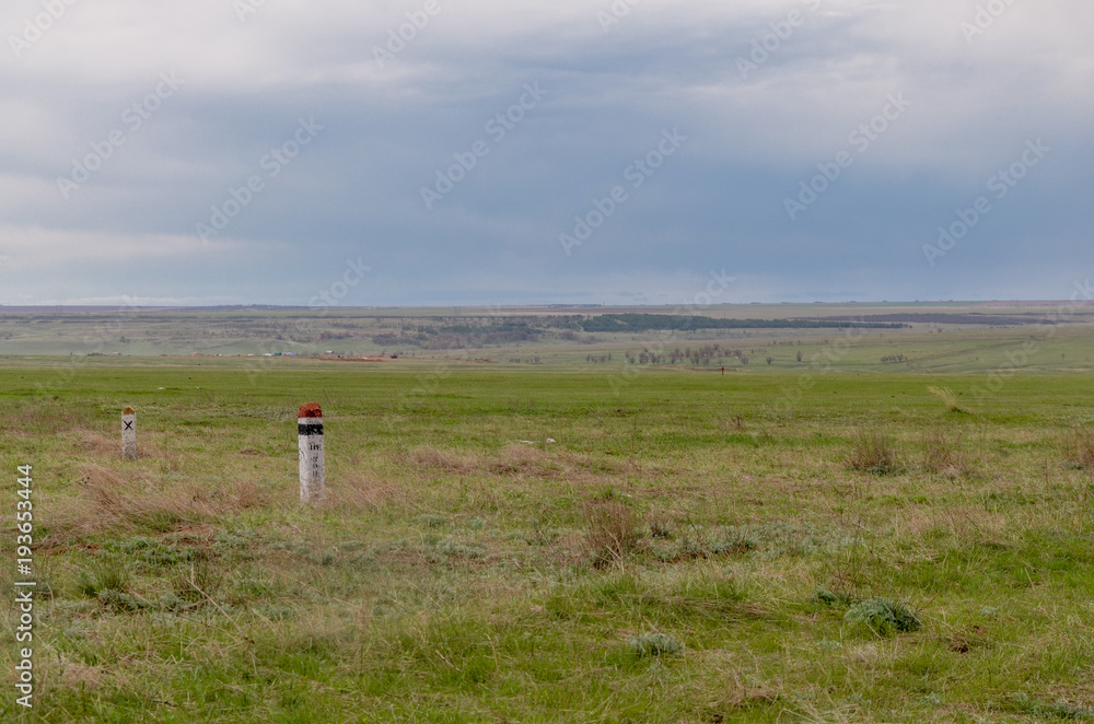 Fototapeta premium artificially cultivated forest on the hillside in southern steppe region Elista, Republic of Kalmykia