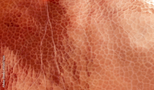 Natural texture - a close-up on pork liver.