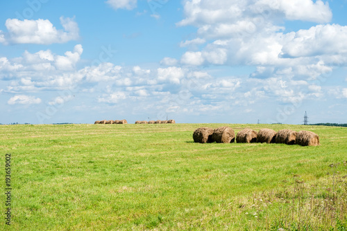 Straw bales in countryside