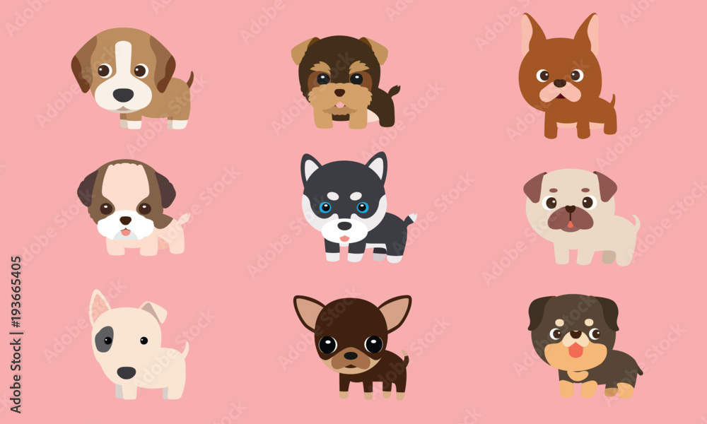 Vector series about cute puppies poodles, Siberian Husky, bull terriers and other breeds. Vector series about cute puppies poodles, Siberian Husky, bull terriers and other breeds.