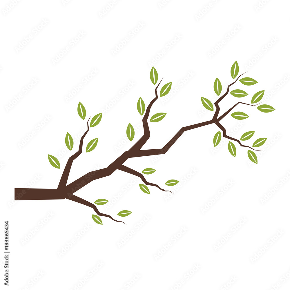 Fototapeta Tree branch isolated icon vector illustration graphic design