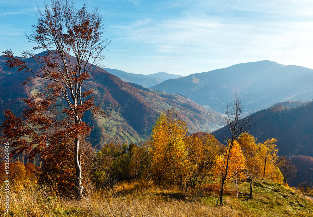 Autumn Carpathian mountain, Ukraine Autumn Carpathian mountain, Ukraine