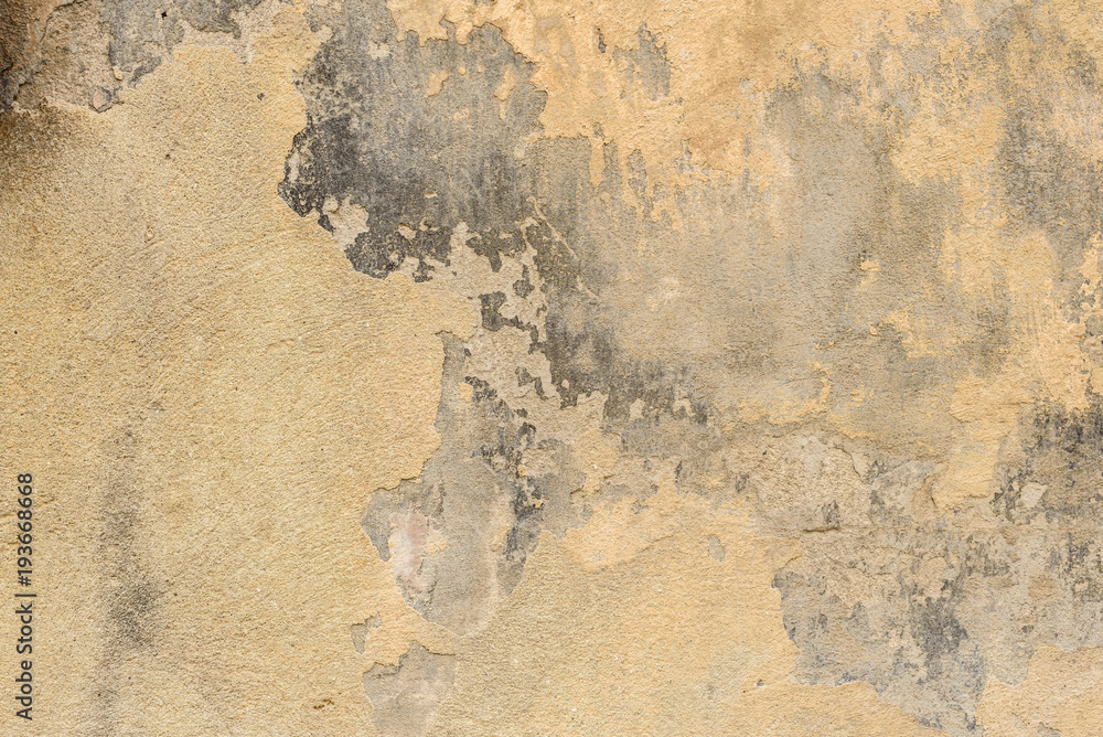 Wall fragment with scratches and cracks Wall fragment with scratches and cracks