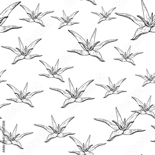 Cactus seamless vector pattern.