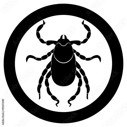 Vector image of a silhouette of a tick on a white background.
