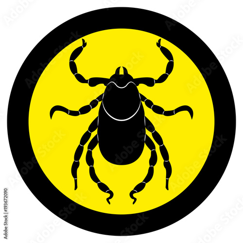 Vector image of a silhouette of a tick on a white background.