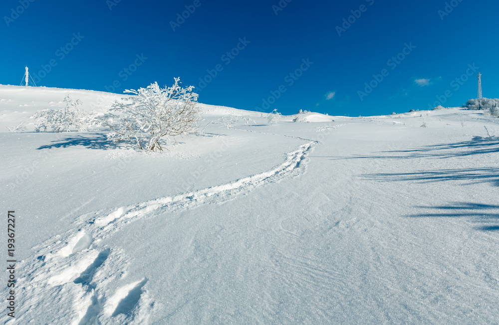 Winter hoar frosting trees,  tower and snowdrifts (Carpathian mountain, Ukraine)