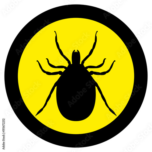 Vector image of a silhouette of a tick on a yellow background