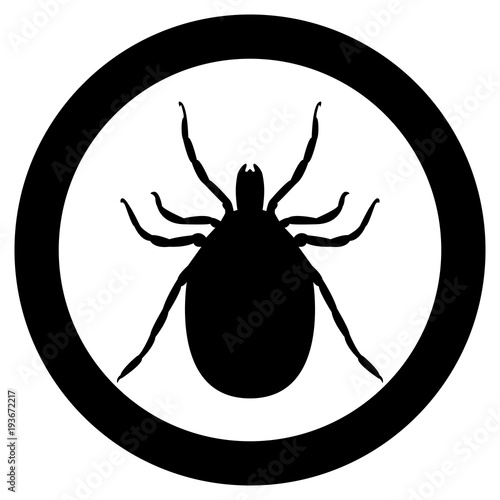 Vector image of a silhouette of a tick on a white background