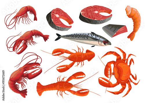 Set of vector illustrations of seafood