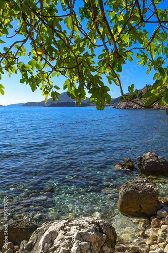 Beautiful sea view. Blue sky and turquoise water. Tree branches on top of frame Adriatic Sea. Montenegro. © Aleksandr