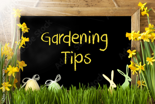 Sunny Narcissus, Easter Egg, Bunny, Text Gardening Tips photo