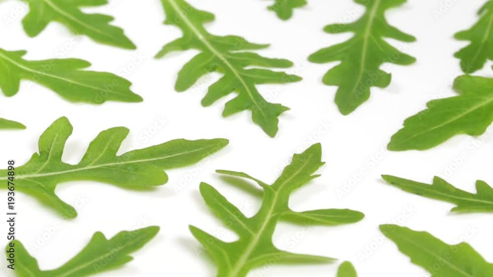 Macro video of fresh green leaves of italian arugula rotating isolated on white plate. Rucola salad. Organic healthy diet food. Macro video of fresh green leaves of italian arugula rotating isolated on white plate. Rucola salad. Organic healthy diet food.