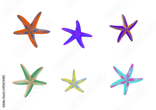 starfish