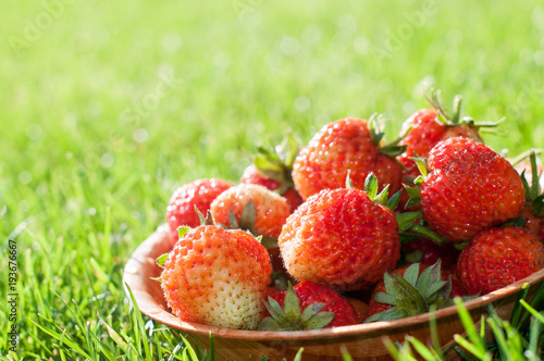 Ripe strwberries in a bowl photo