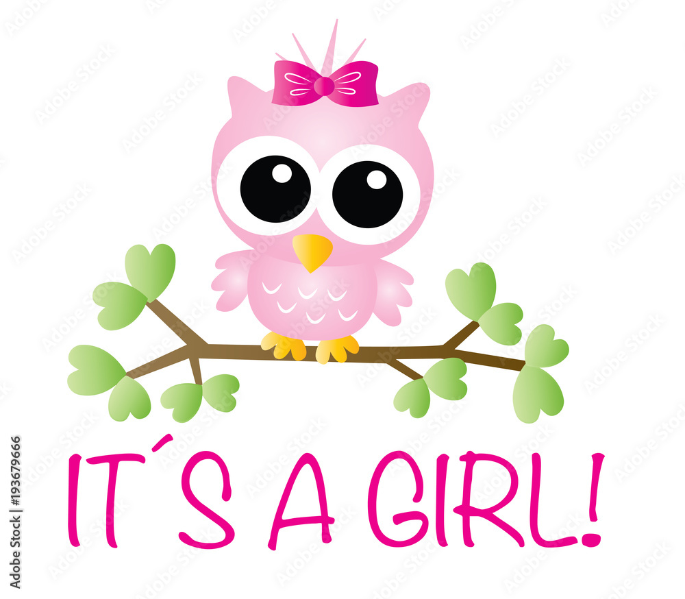 Obraz premium it´s a girl baby shower or newborn baby announcement