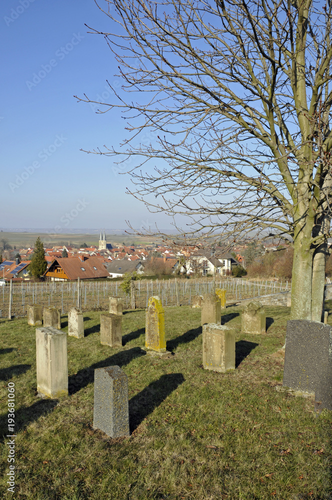 Naklejka premium jüdischer friedhof bei flonheim