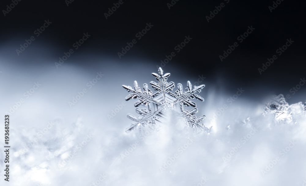 photo real snowflakes during a snowfall, under natural conditions at low temperature photo real snowflakes during a snowfall, under natural conditions at low temperature